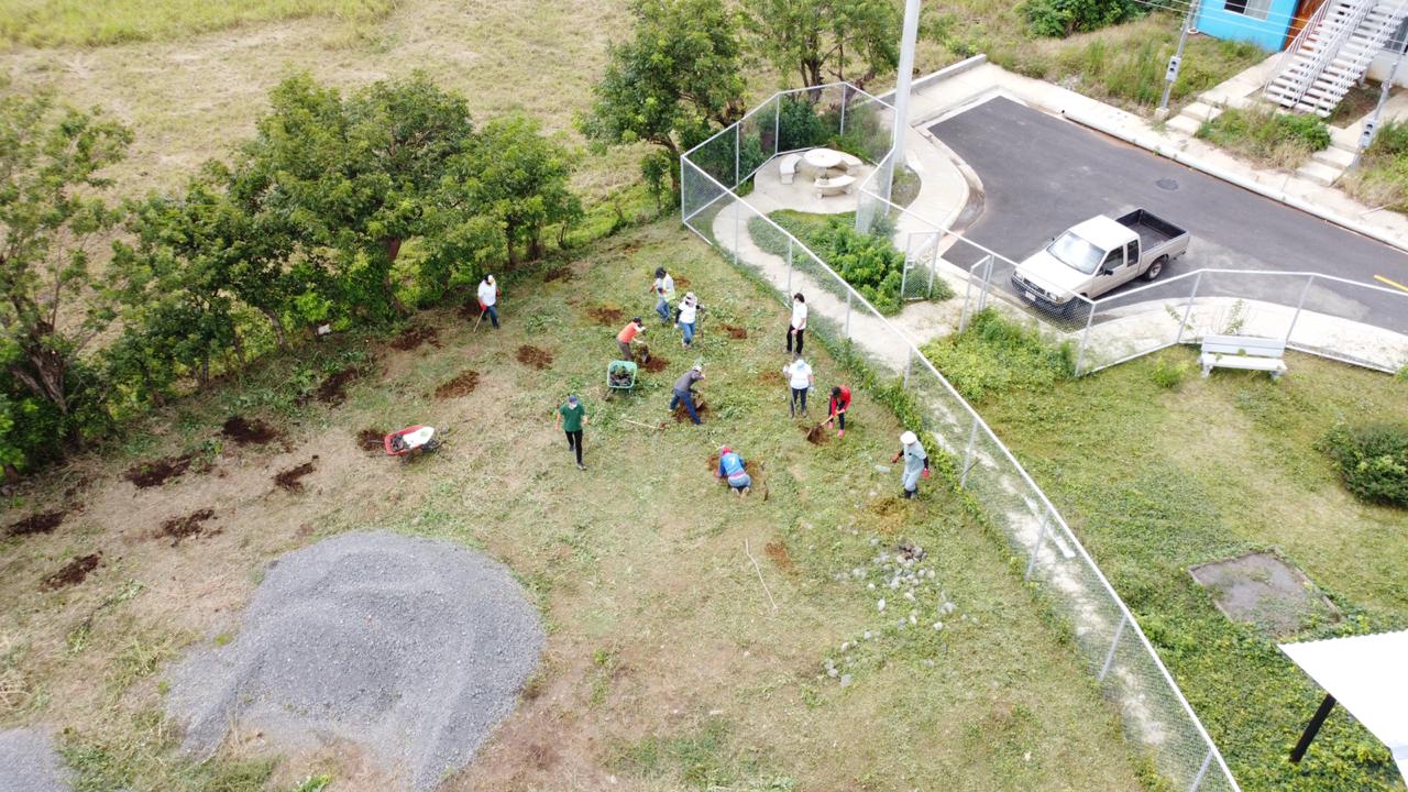 Grupo Mutual dona 200 árboles a Proyecto Valle Azul